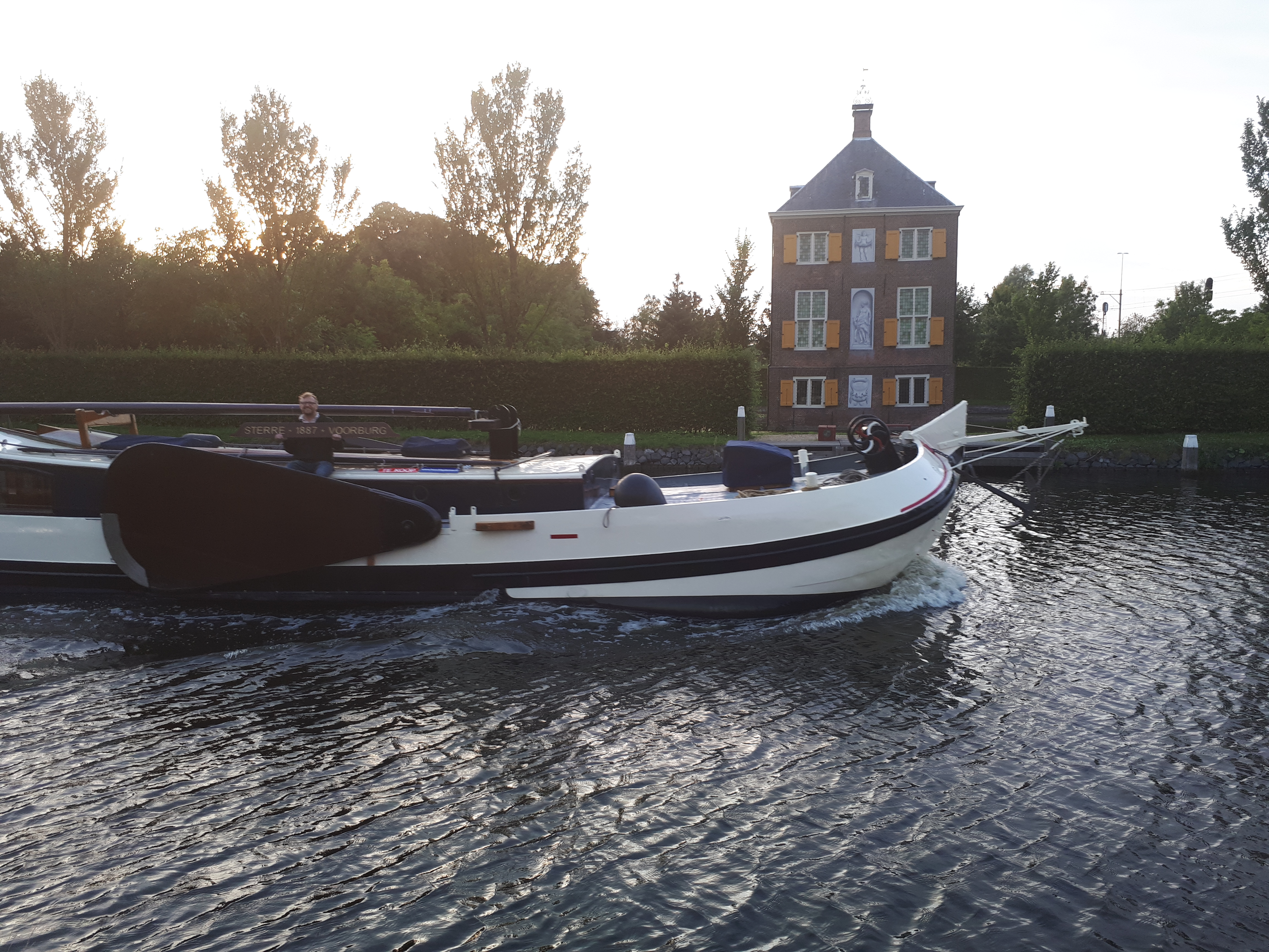 Sterre in 2017 bij Hofwijck in Voorburg